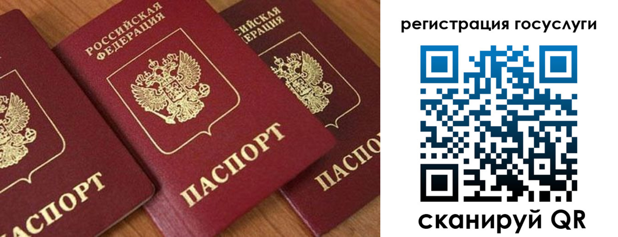 временная регистрация гарантия в Ярославле